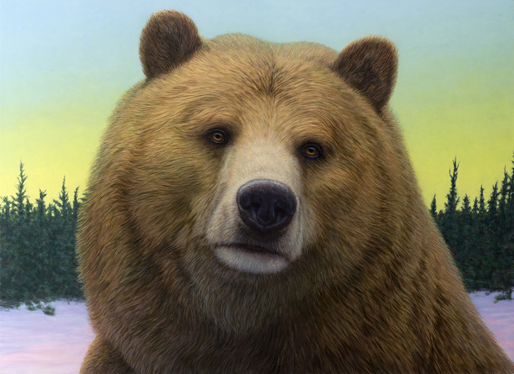 Portrait of a Grizzly